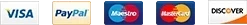 Payment logos: Visa, PayPal, Maestro, Mastercard and Discover